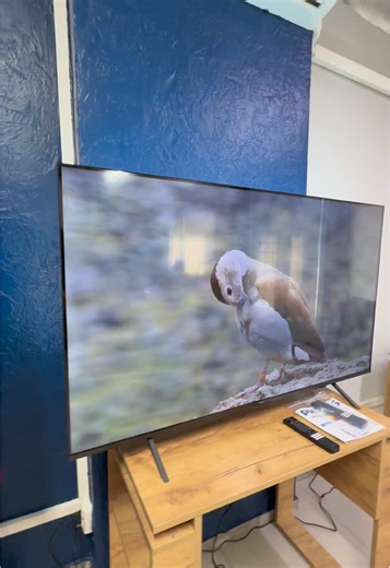 🔥 Philips 55PUS8000/12 — 27 999 грн Ціна діє лише сьогодні ⚡ Телевізор уцінений — кількість обмежена! 🛡 Гарантія — 2 роки 🔄 30 днів на обмін або повернення 🎁 -50% на будь-яке кріплення з нашого асортименту Це той варіант, який забирають дуже швидко — якщо думав(ла), зараз саме момент. 👉 Пиши в коментарі « » — оформимо замовлення і підберемо під тебе ідеальний варіант #телевізор #4ктв #philips #смарттв #вигідно