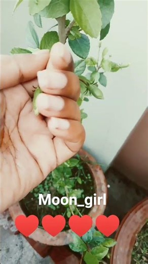 maya maya song kamon laglo comment koro ♥️#like #viral #subscribe #shorts