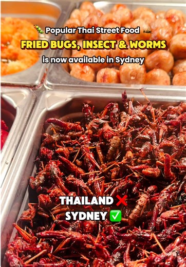 Fried Bugs from Thailand Now in Sydney