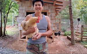我的农场生活vlog：整理一个鸡棚，欢迎来我家里农家乐 Van in chickencoop