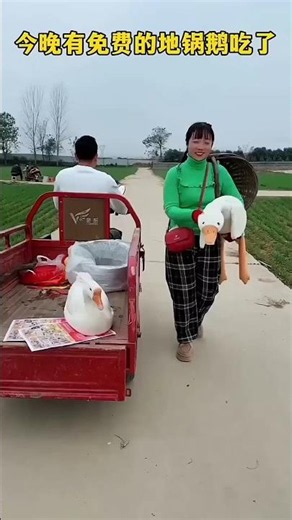 🦆😱 Die verschwundene Ente! 😲❤️ Schwester rettet den Tag! 👍😂