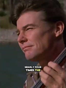 Did You Know This About Airwolf 1984?