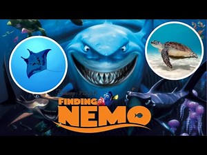 Learn Animals with 'Finding Nemo' | 01 | Wildlife Adventure | Storyline