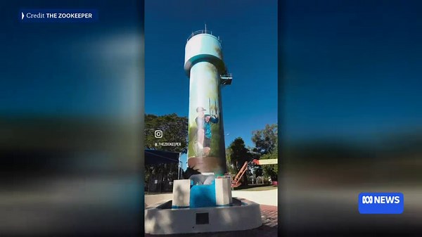 Dawson River is at the heart of farming town Theodore and its people