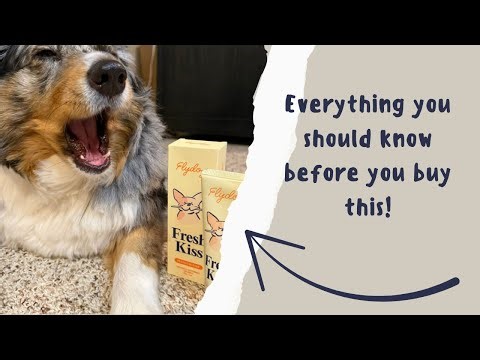 Dog Dental Routine Made Easy with This All-in-One Kit