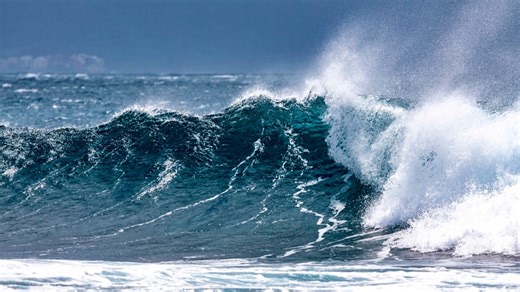 Ocean currents are shifting. Study finds corals could become a thing of the past