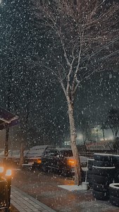 78K reactions · 5.8K shares | Grateful to my best friend  Voice script credit: @byeol.talk | Learn 한국어 | Facebook