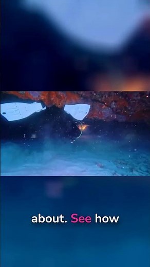 Tight Squeeze Cave Dive: Worth the Claustrophobia?