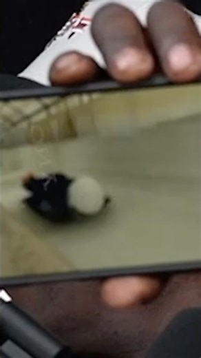 Flavor Flav Does The Skeleton Bobsled Course | Howie Mandel Does Stuff