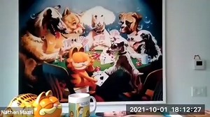 Nathen Mazri on Instagram: "Posted •@garfieldeatsco Pt. 1 Garfield & Nathen Big FAT News 2022 Zoom Webinar. 》Watch full show on #youtube channel @nathenmazri for the big announcement shortly. #garfield #nickelodeon #viacomcbs #viacom #food #news #fans"