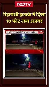 Chhatarpur News : Residential Area में दिखा 10 Feet लंबा Python | Breaking #shorts #viralvideo