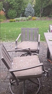 We just had an absolutely wild hailstorm here in Boise, Idaho.