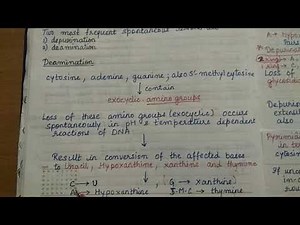 Molecular Mechanism of Mutation (Gene mutation 2)