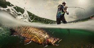 Exploring the Seven Species of Salmon: From Masu to Chinook