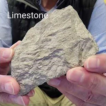 Sedimentary Rocks: Limestone