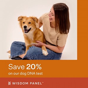 1K views · 16 reactions | Calling all dog moms! Get closer to your pup with the world’s most comprehensive dog DNA test. Learn what they really need. | Wisdom Panel | Facebook