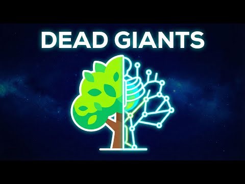 Why Trees Are Actually Dead!