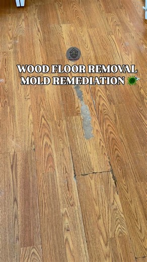 Mold Basics •The key to mold control is moisture control. •If mold...