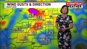 Today has been quite the weather day with the weather ranging from wicked winds and near-record warmth to isolated robust storms. | Cheryl Lemke