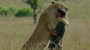 万物皆有灵，狮子和人类好朋友重逢的那一刻，她开心的像个孩子