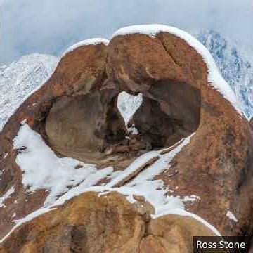 Look What These Nature Photographers Captured