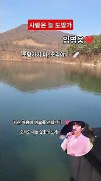 ​임영웅 - 사랑은 늘 도망가 🌊 마장호수 물결 따라 흐르는 깊은 감성 #임영웅 #사랑은늘도망가 #마장호수 #영웅시대 #힐링영상 #Shorts