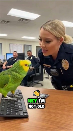 Parrot Roasts a Police Officer So Hard the Room Explodes 😂👮‍♀️#talkingparrot #parrots #parrotlover