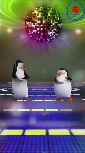 penguins of medagaskar #penguindance #medagaskar #funnyshorts #dancingshorts #pitbull #celebrate