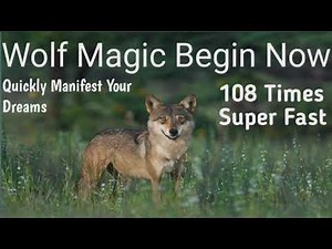 Wolf Magic Begin Now 💯➗ Manifest Your Dreams ⭐⭐ Quickly Manifest⭐⭐ Remove Obstacles Magic Switchword
