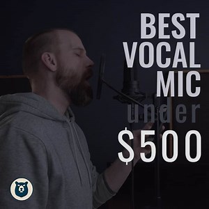 5 Best Vocal Mics for Under $500 - Production Den