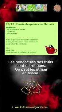 92 Le Merisier 4et5.6 Cuisine et Récolte