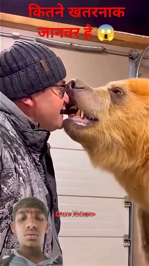 Is it possible to keep dangerous animals as pets?...