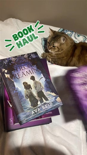 #booktok #bookhaul #books #bookworm #neverendingtbr All books approved by Beans :)