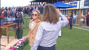 All the of the highlights of the 2019 Warrnambool Racing Club Carnival will be gracing your screens tonight at 8pm AEST; Ch78, 68, 529 & digital. | Racing.com