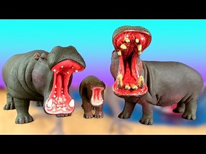 Happy Cute ZOO Animals WILDLIFE Watering Hole Playset Hippopotamus Tiger Toy Review SuperFunReviews