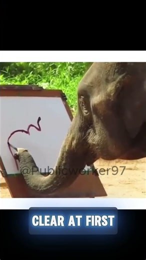 Painting Elephant Creates a Self Portrait on Canvas 🐘🎨 #elephant #painting #animalart
