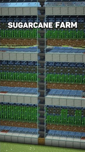 Minecraft Tutorial | AFK Sugarcane Farm 🎋 #minecraft #minecraftshorts #tutorial #minecraftbuilding