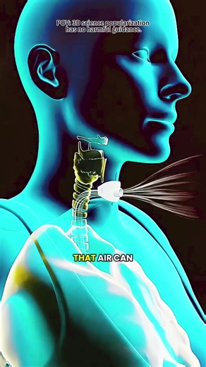 Tracheotomy Procedure 3D Animation #tracheotomy #tracheostomia #tracheotomytube #tracheotomyawareness #windpipe #windpipesurgery #tracheasurgery #patienteducation #medical3danimation #3dmedicalanimation #tracheotomyairwayreconstruction