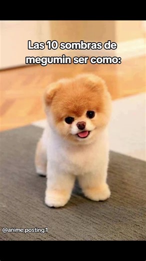 The 10 Shadows of Megumin - Anime & Manga Memes