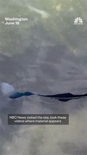Paint appears to be peeling away from the reflecting pool amid an ongoing algae bloom.