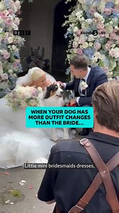 4.3K views | When your dog has more outfit changes than the bride…‍了 Emma runs Precious Pets Weddings, a dog chaperone service that looks after dogs on their owner’s big day - dressing them, photographing them and getting them down the aisle. She says more couples are involving their dogs in their weddings, and they need to look the part  | BBC Radio 5 live | Facebook