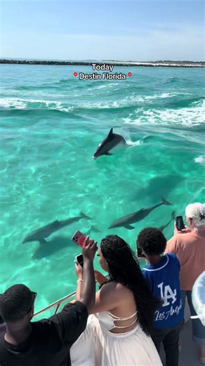 The water was sooo clear today in #destinflorida 😍🐬 also if you’re looking for an EPIC experience while on the area, check out @destinseablasteradventures 🛥️ -📸 @rossfalduto