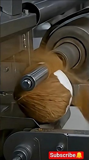 Coconut Processing Machine 🥥part-2