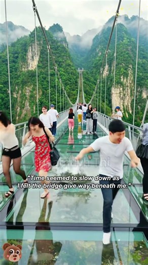 #fyps viral #skyfall #parachutefail