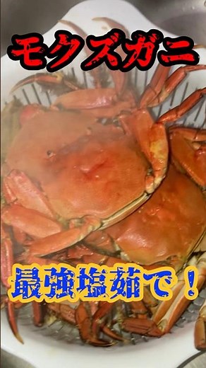 モクズガニ食べ方、激ウマ！！モクズガニ塩茹で！美味！カワガニ最強！#shots #蟹#塩茹で#モクズガニ#甲殻類#上海蟹