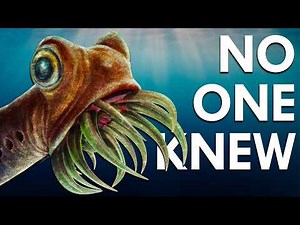 What On Earth Were The Conodonts?