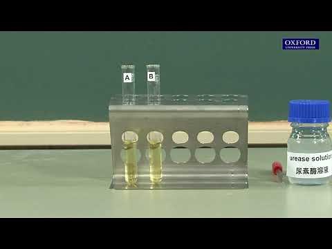 Practical 4.4 Investigation of the effect of inhibitors on enzyme activity