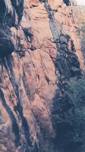 #rappeling #rockclimbing #climbing #bouldering #outdoors #outdooractivity #nature