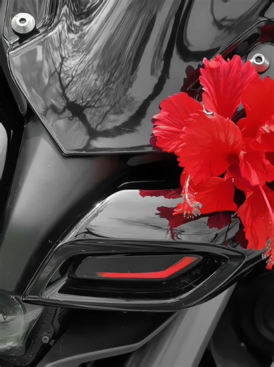 MT 15: A Dream Bike for Yamaha Lovers in Sri Lanka