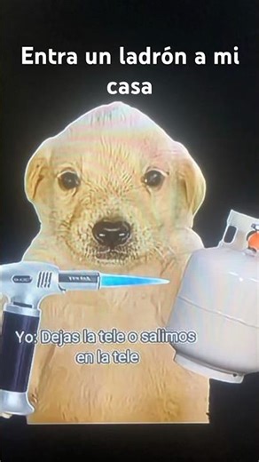 O dejas la tele o salimos en tele
